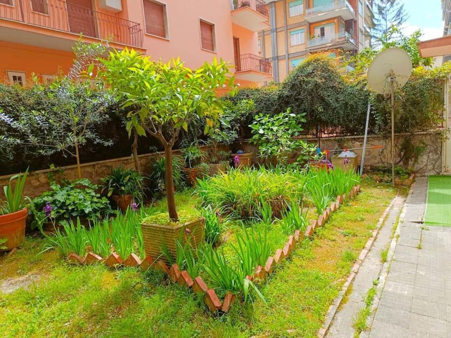 Appartement House With Garden Near The Olympic Stadium Rome